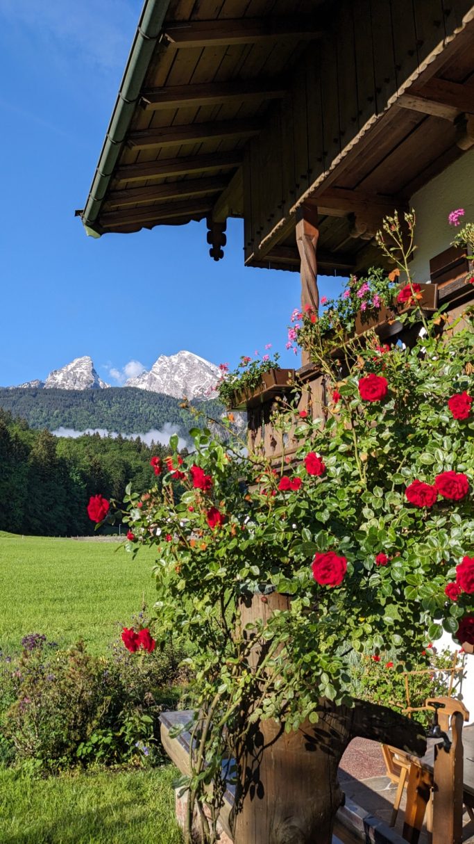 Balkon mit roten Blumen und Blick auf die Berge im Hintergrund bei sonnigem Wetter.